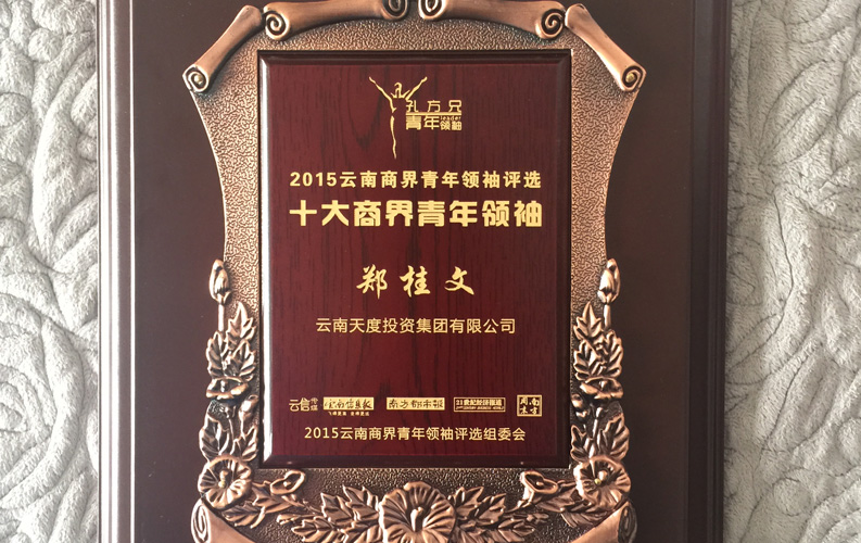 在“互聯(lián)網(wǎng)大時代”的背景下，天度作為本土很大和很有名的互聯(lián)網(wǎng)服務企業(yè)，為近萬家傳統(tǒng)企業(yè)轉(zhuǎn)型互聯(lián)網(wǎng)+提供了服務和幫助，獲此獎項后，我們將再接再厲，創(chuàng)造更高的社會價值